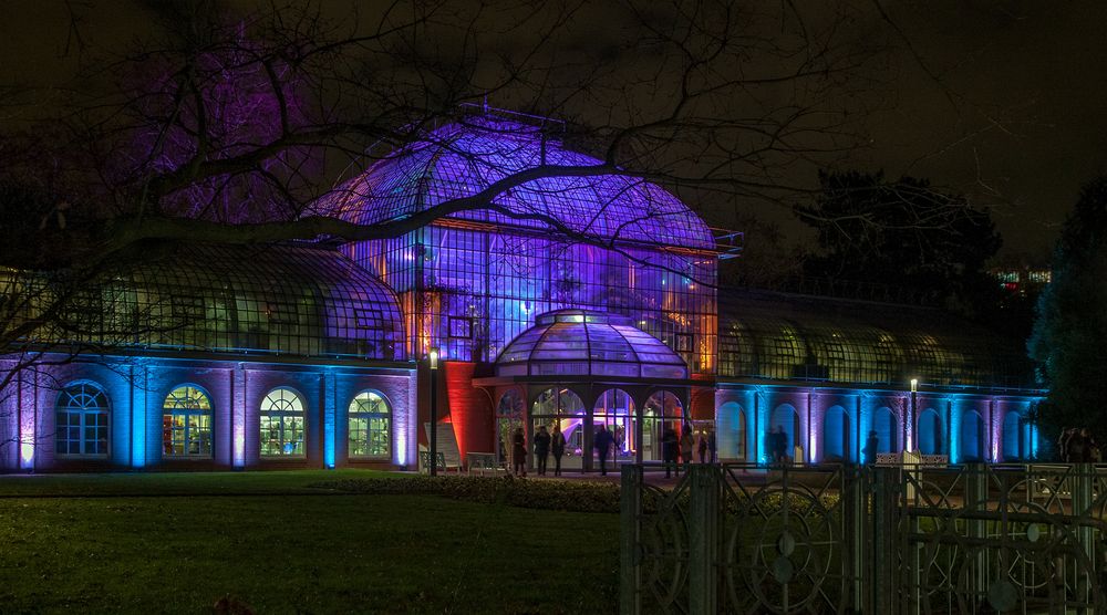 Winterlichter 3 Palmengarten Frankfurt/Main Foto & Bild world