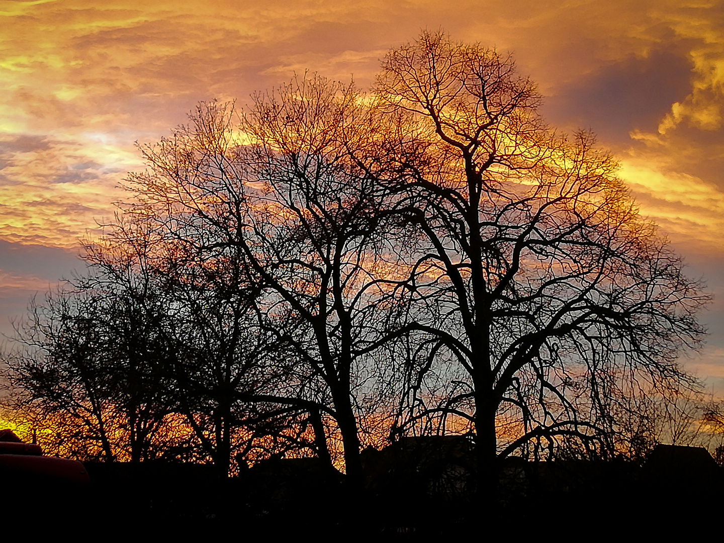 Winterlichter