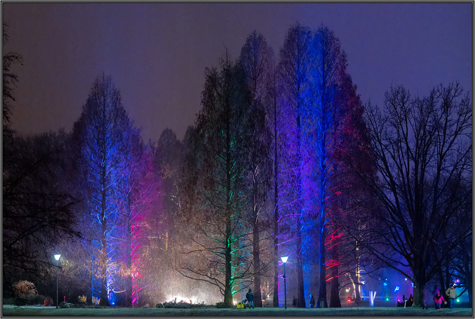 Winterlichter ( 7 )