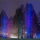 Winterlichter ( 7 )