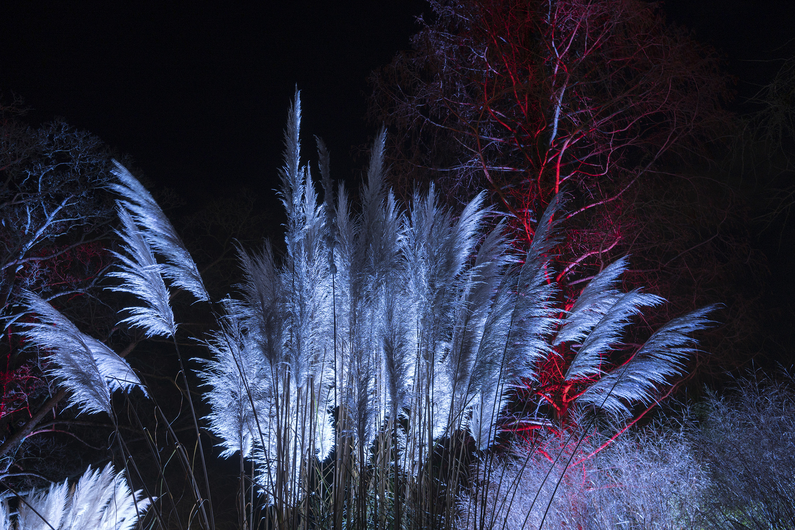 Winterlichter 7