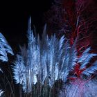 Winterlichter 7