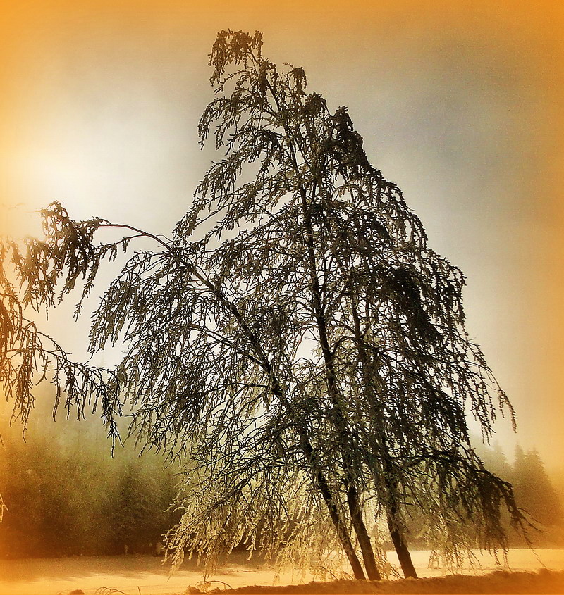 Winterlichter am Rennsteig