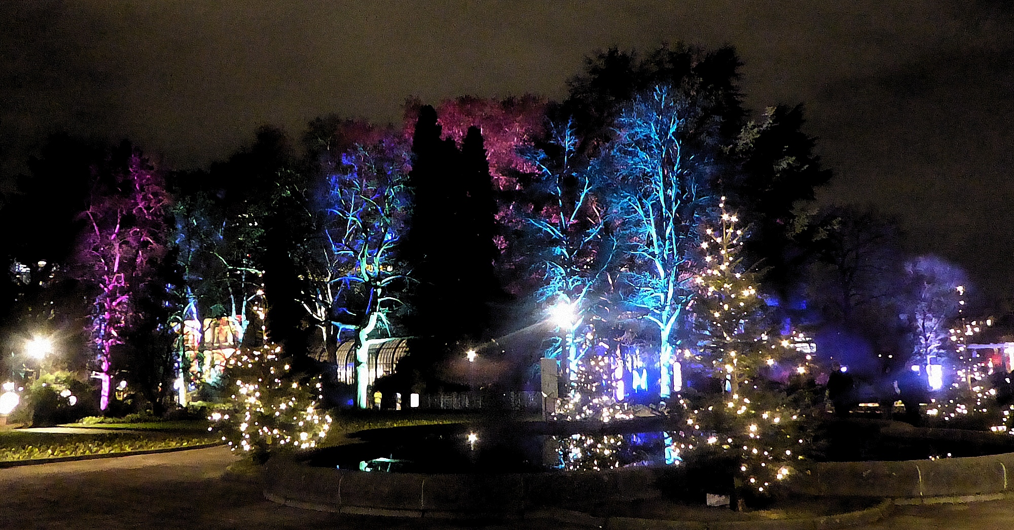 Winterlichter - eiliche bunte Bäume und Teich