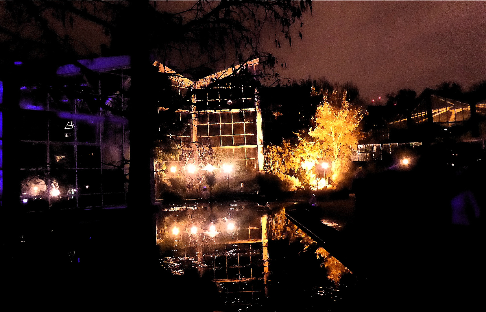 Winterlichter Glashaus mit Lampen in Teich gespiegelt 