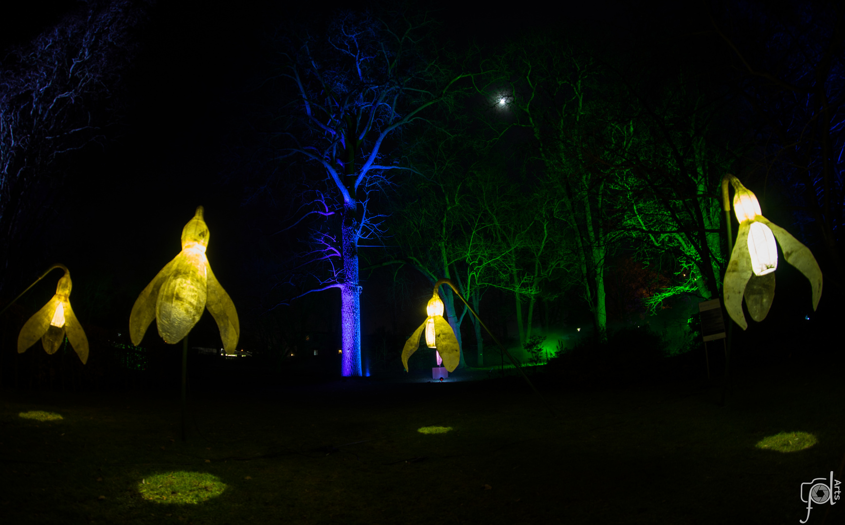 Winterlichter Glockenspiel