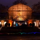 Winterlichter im Frankfurter Palmengarten