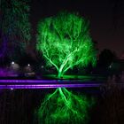 Winterlichter im Luisenpark