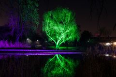 Winterlichter im Luisenpark