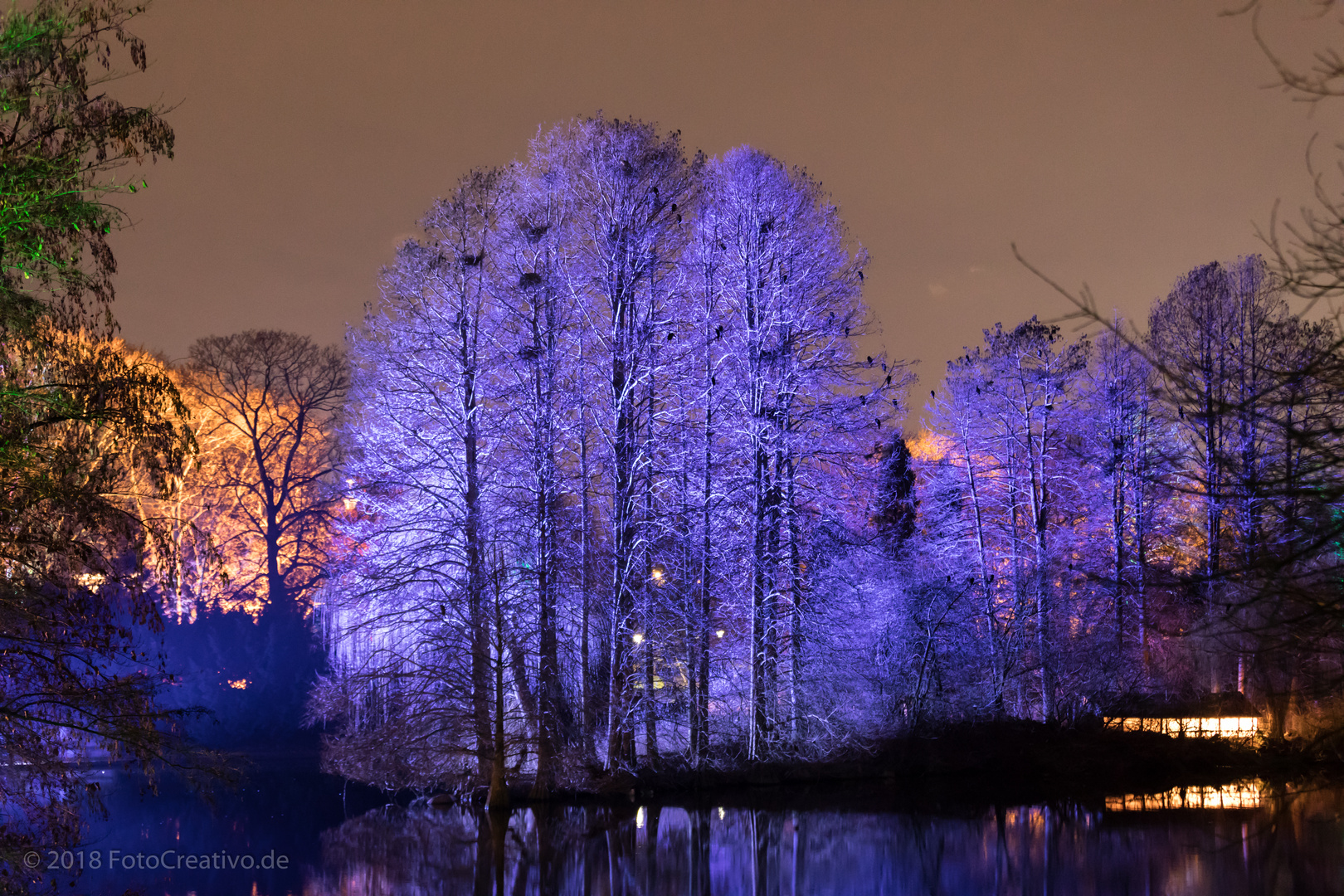 Winterlichter im Luisenpark 2018