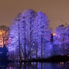 Winterlichter im Luisenpark 2018