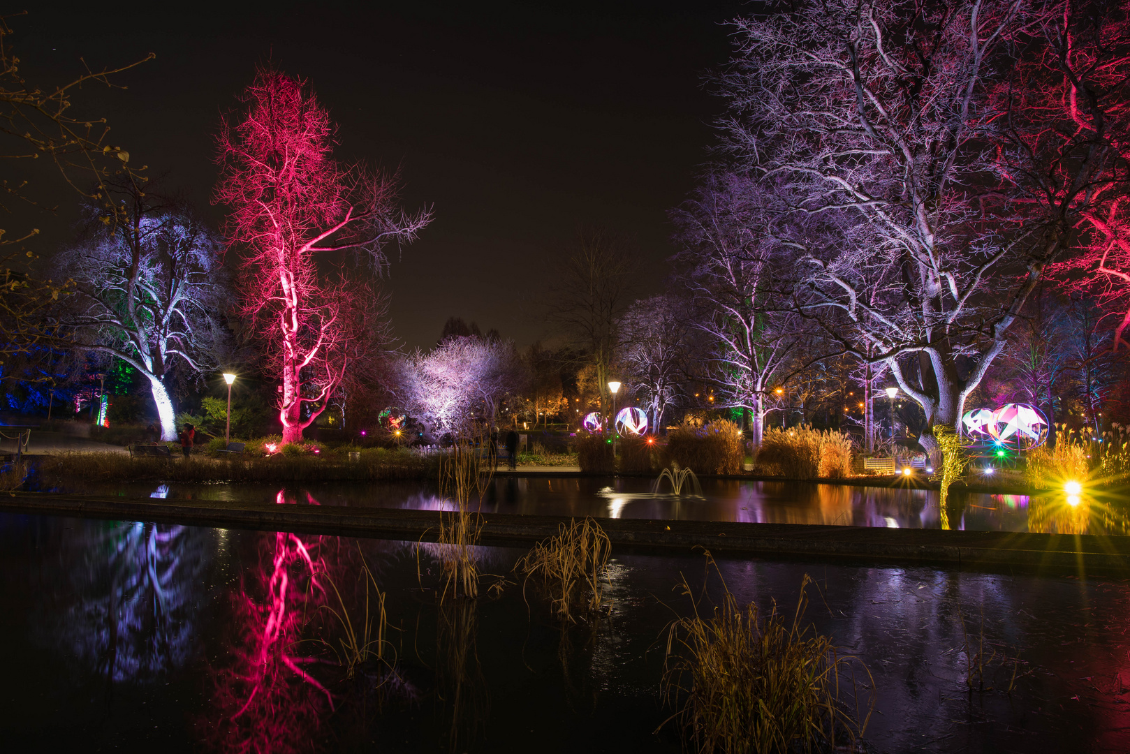 Winterlichter im Luisenpark.