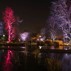 Winterlichter im Luisenpark.