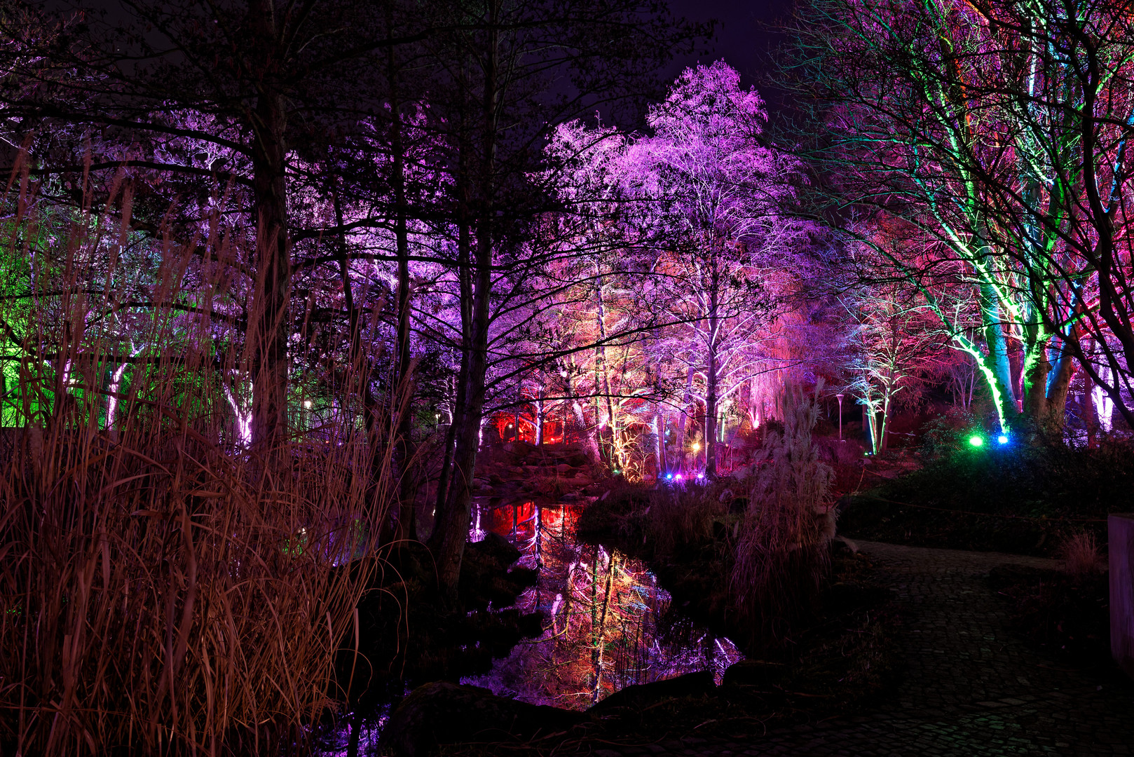 Winterlichter im Luisenpark