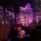 Winterlichter im Luisenpark