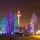 Winterlichter im Luisenpark