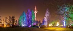 Winterlichter im Luisenpark