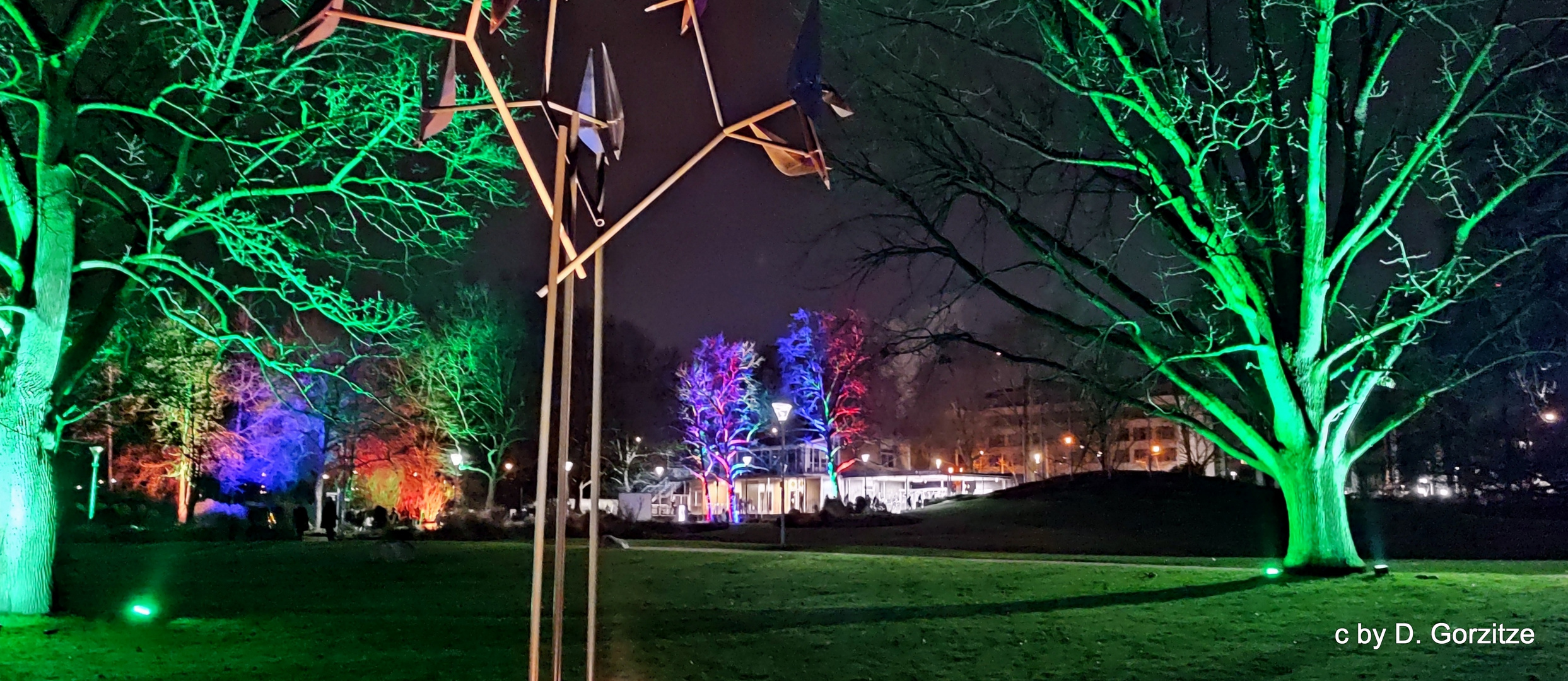 Winterlichter im Luisenpark !