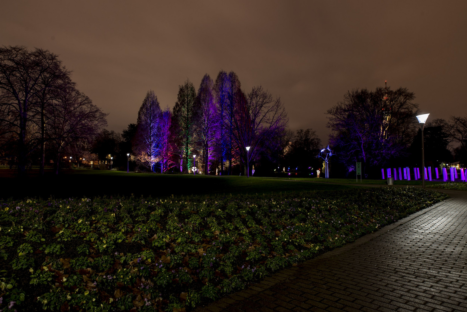 Winterlichter im Luisenpark