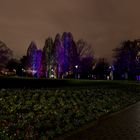 Winterlichter im Luisenpark