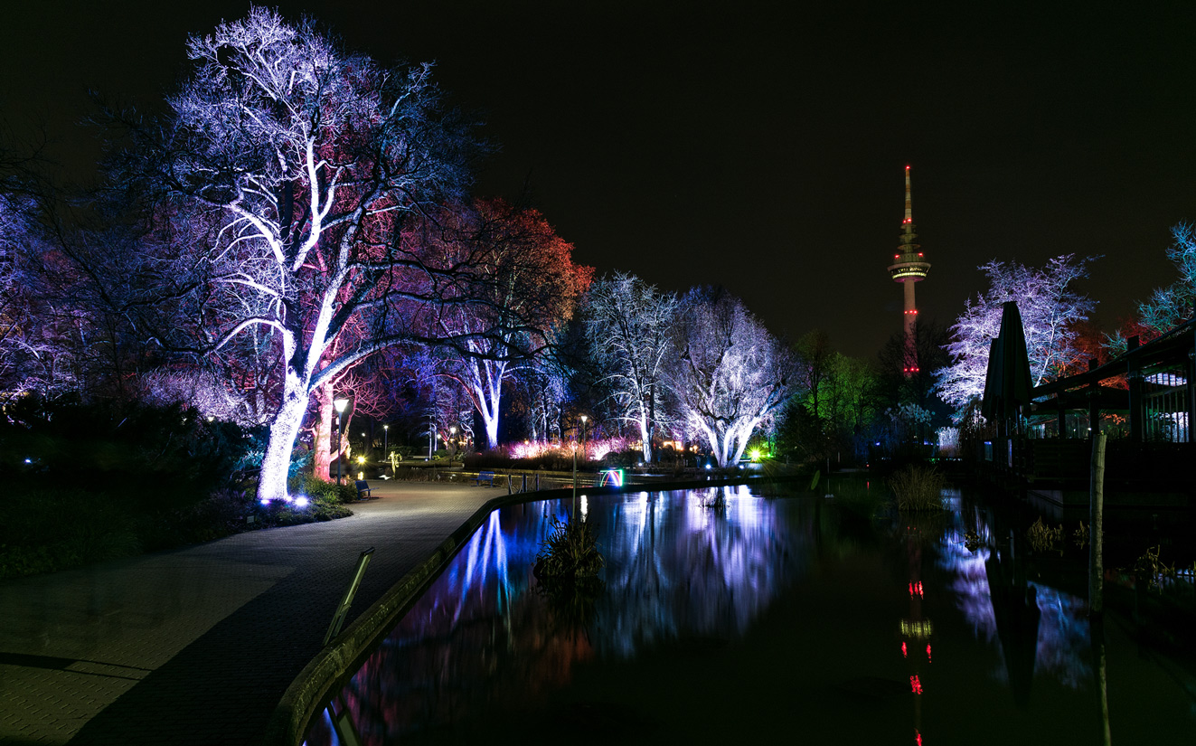 Winterlichter im Luisenpark