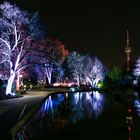 Winterlichter im Luisenpark