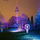 Winterlichter im Luisenpark Mannheim