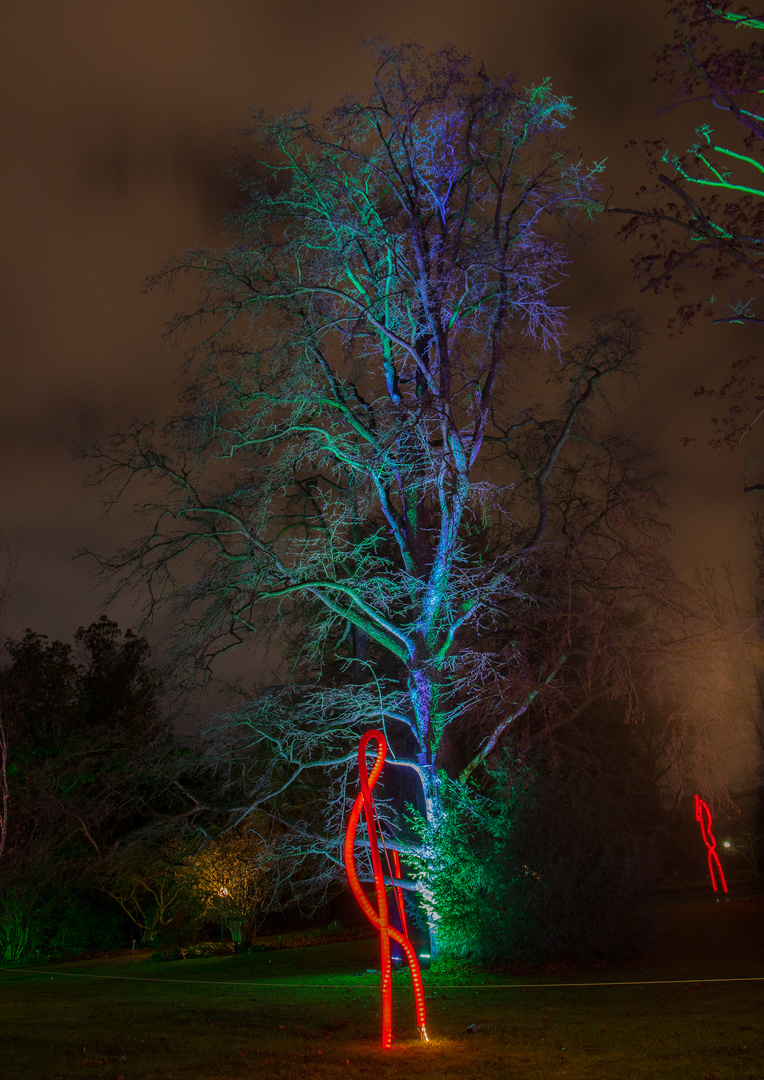 Winterlichter im Palmengarten 2