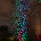 Winterlichter im Palmengarten 2