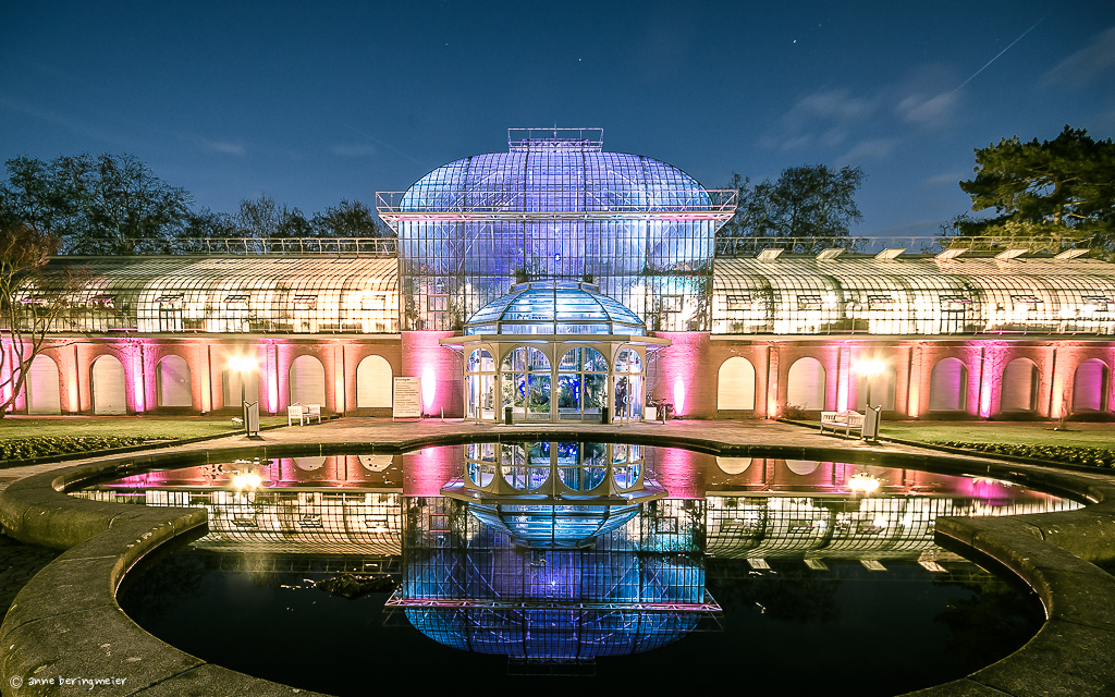 Winterlichter im Palmengarten 2014