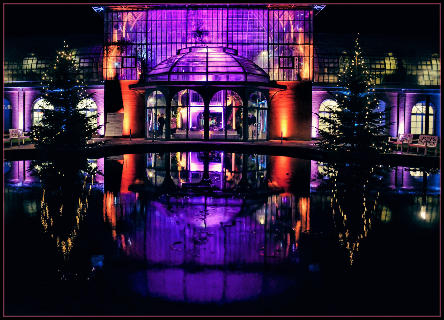 Winterlichter im Palmengarten Foto & Bild world, spezial, nacht