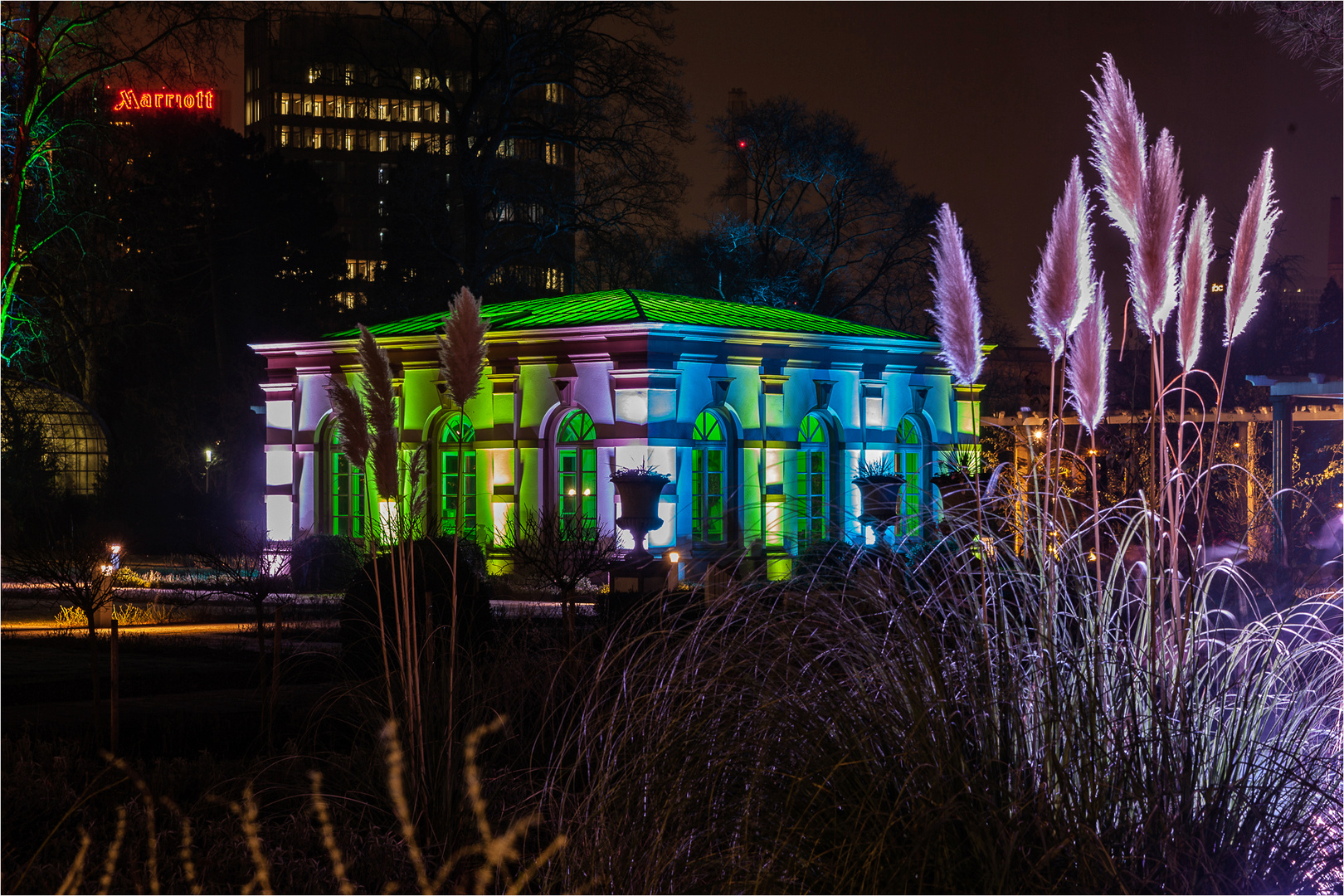 Winterlichter im Palmengarten ...