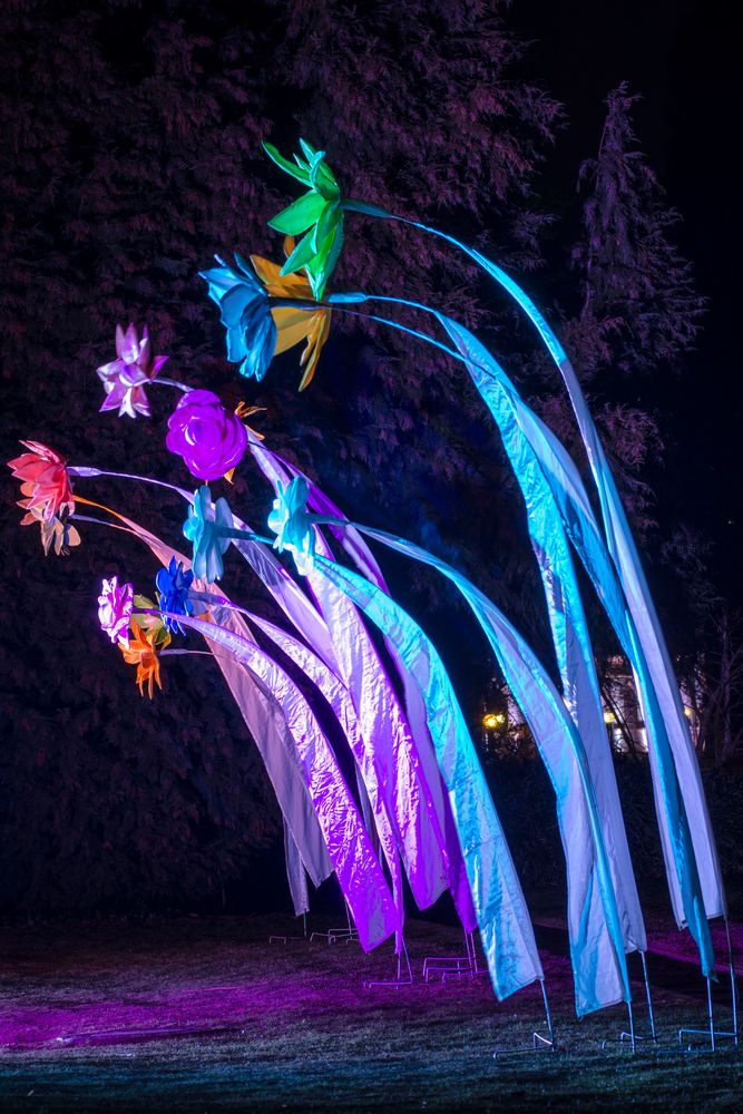 Winterlichter im Palmengarten 