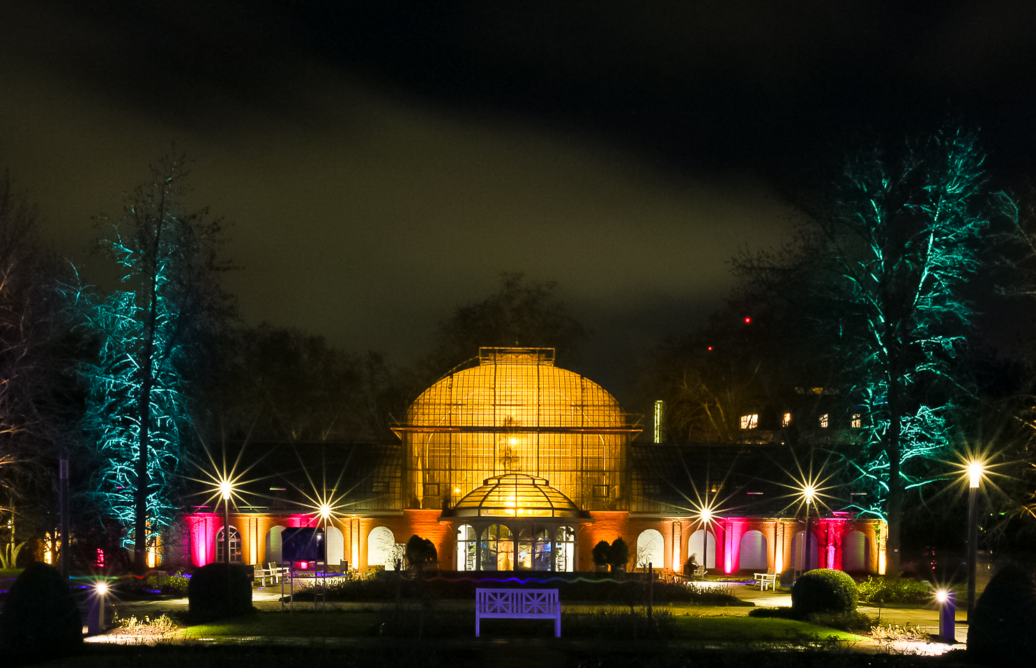 Winterlichter im Palmengarten