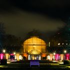 Winterlichter im Palmengarten