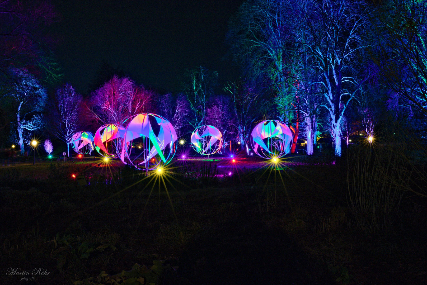 Winterlichter im Palmengarten