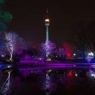 Winterlichter im Westfalenpark Bild 1