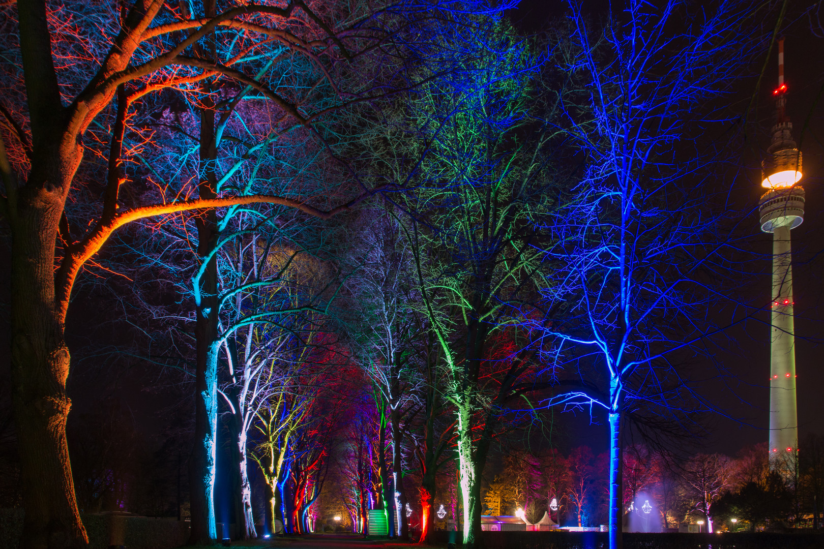 Winterlichter im Westfalenpark Bild 2