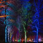 Winterlichter im Westfalenpark Bild 2