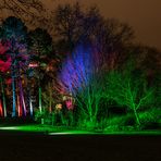 Winterlichter im Zauberwald