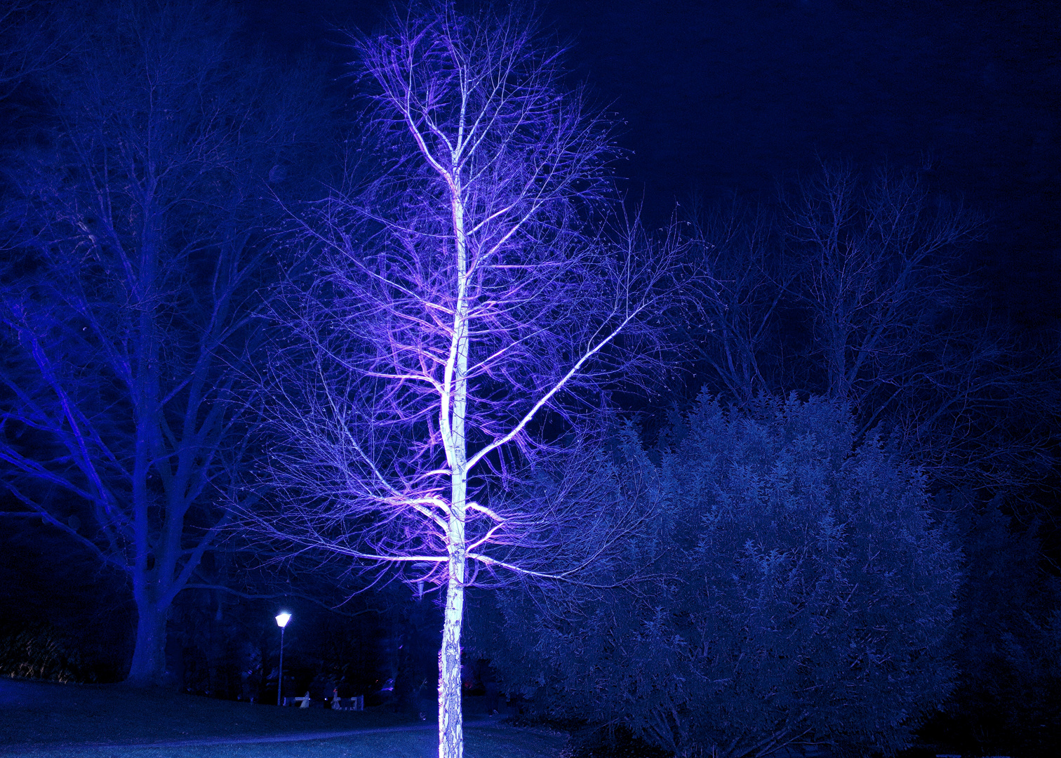 Winterlichter Luisenpark