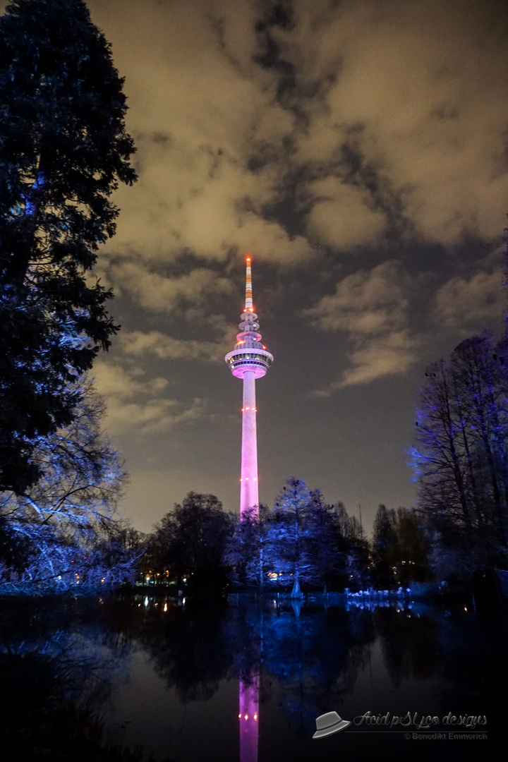 Winterlichter Luisenpark Mannheim