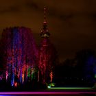 Winterlichter Luisenpark Mannheim