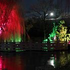 Winterlichter Luisenpark Mannheim