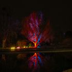 Winterlichter Luisenpark Mannheim - Spiegelung