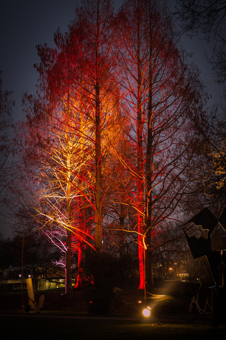 Winterlichter Mannheim (21)