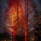 Winterlichter Mannheim (21)