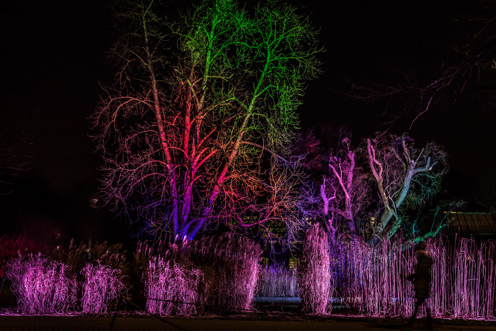 Winterlichter Mannheim - der Besucher