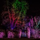 Winterlichter Mannheim - der Besucher