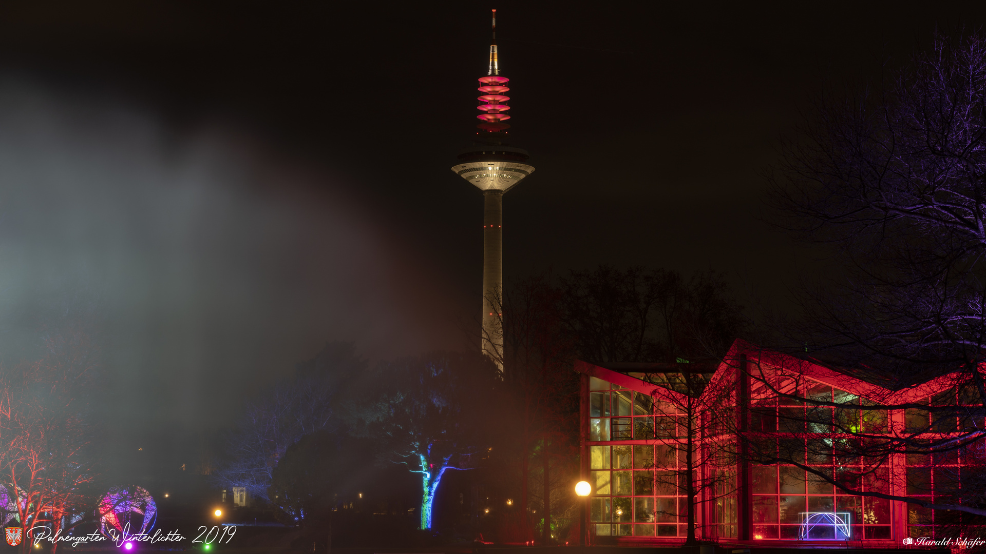 Winterlichter Palmengarten 